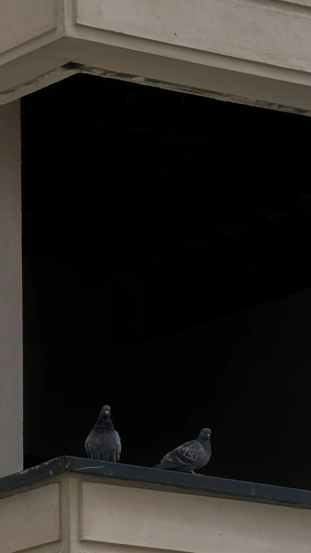 政治辯論概念圖