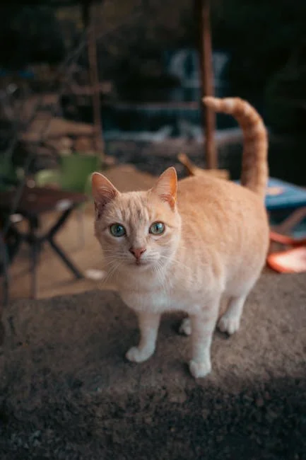 自然光人像攝影