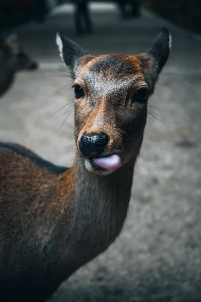 單身恐懼克服法：享受單身時光的心態轉換策略