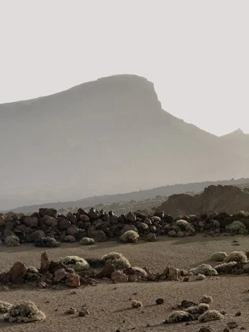 第一次約會地點推薦：15個最適合聊天認識彼此的好去處