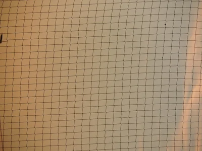 5個讓聊天不冷場的萬用話題公式，初次聊天也能聊不停